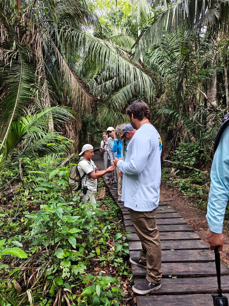 Desde Lima hasta Puerto Maldonado, te contamos cómo vivir una experiencia inmersiva en la selva amazónica. Hospedaje, gastronomía local y los mejores tours para explorar ríos, lagos y canopy en uno de los destinos más biodiversos del mundo