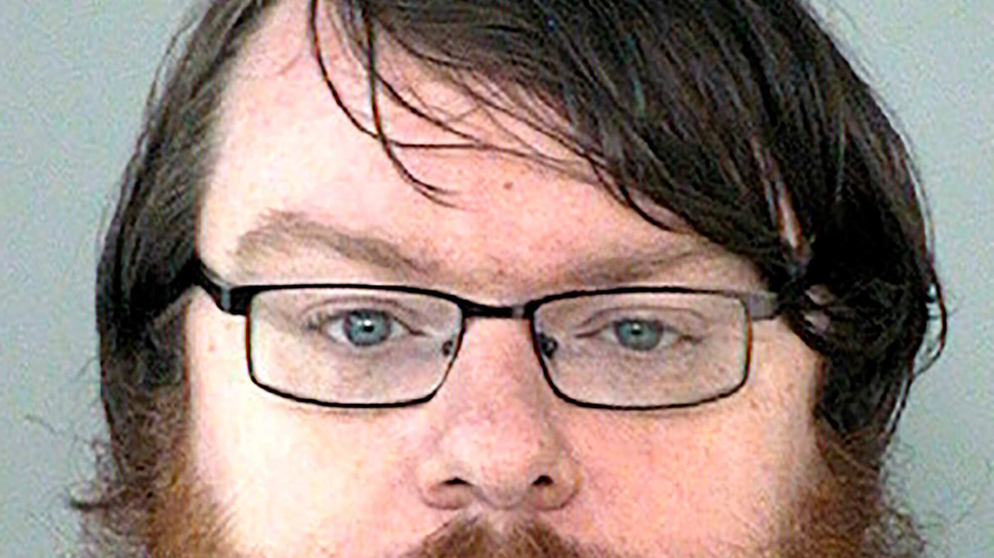 Gatos: asesina y tortura