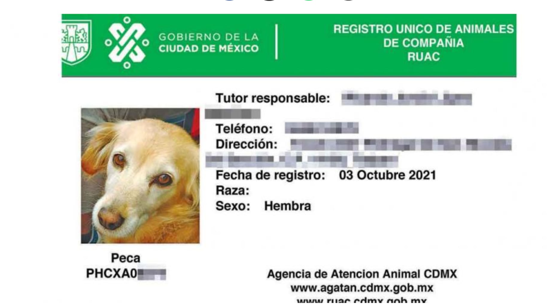 Registro Animales de Compañía