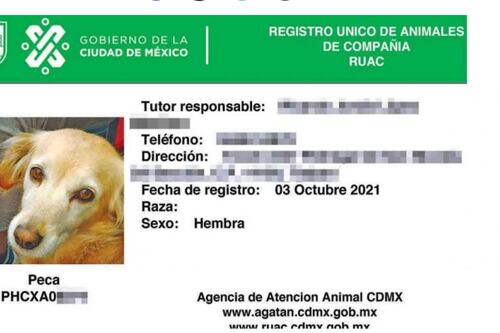 Multa de 3,100 pesos y 36 horas de arresto por no registrar a tu mascota en el RUAC de la cdmx