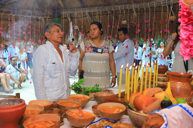 Conoce más acerca de una de las especies más valoradas por la cultura maya en el Festival de la Abeja Melipona que se celebra en Xel Ha