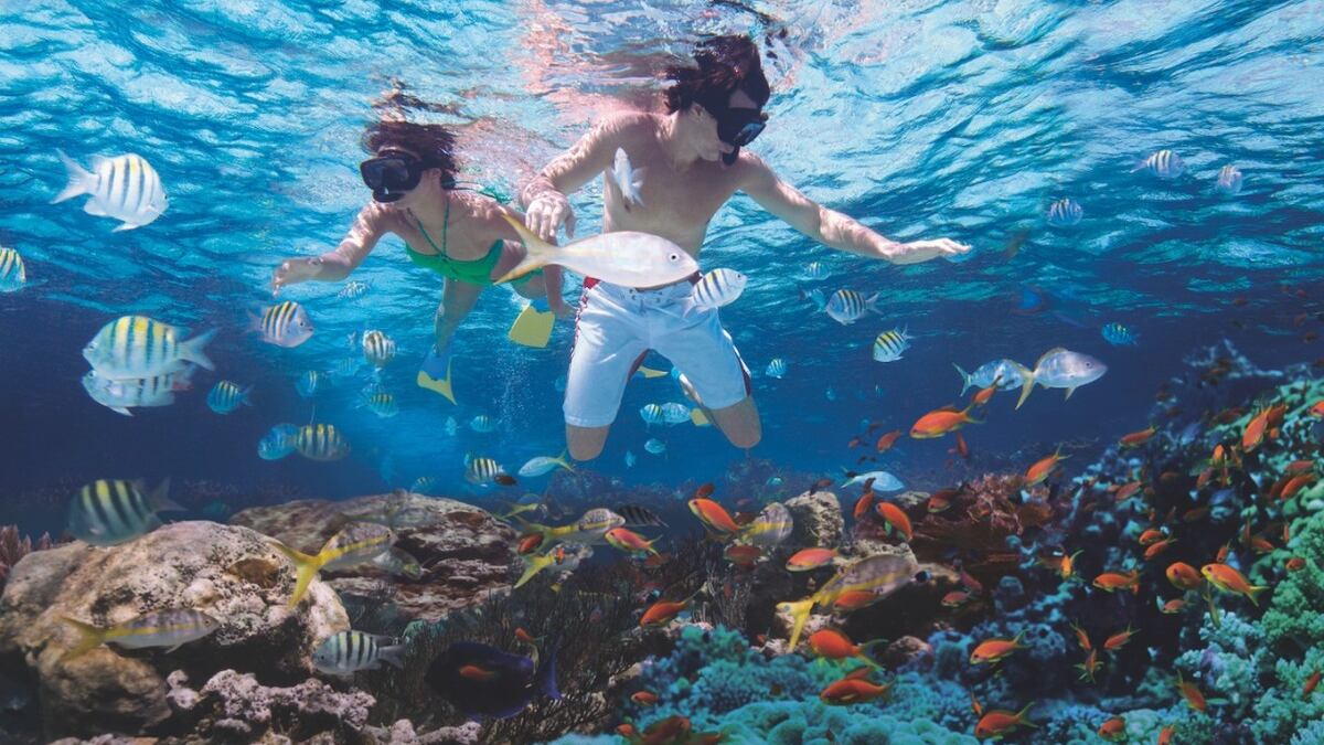 Las playas de República Dominicana están más cerca de lo que piensas con esta promoción de Arajet para pasar un Año Nuevo inolvidable.