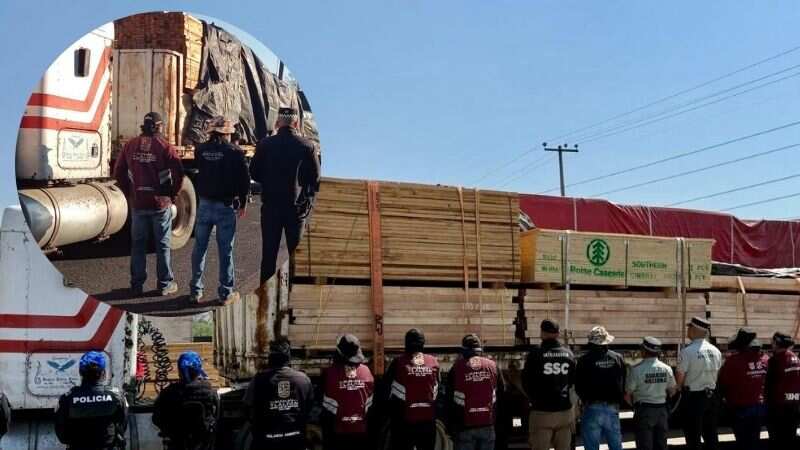 Tala ilegal en Tlalpan: aseguran camión con más de 30metros cúbicos de madera