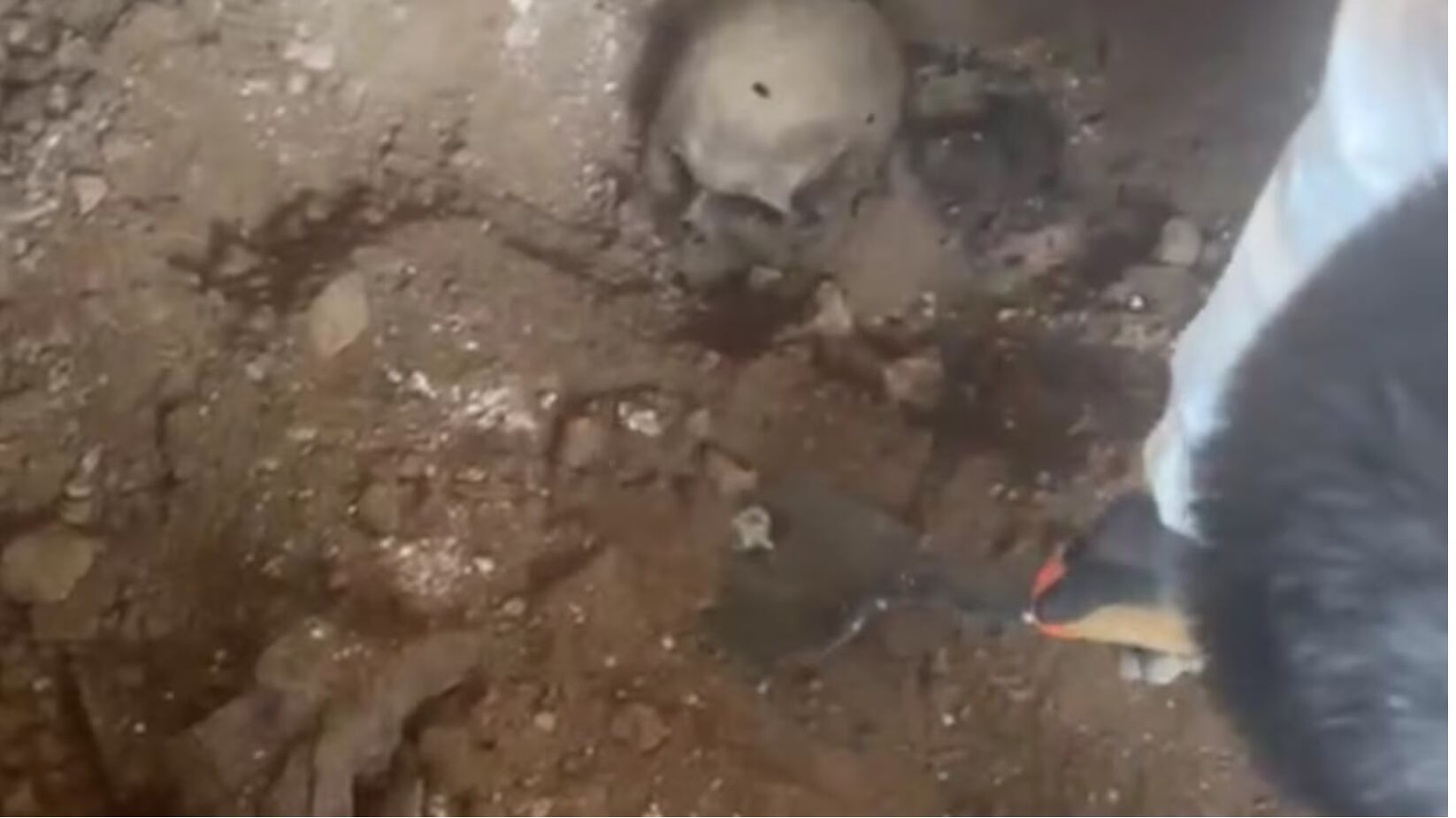 Restos humanos en finca de Guadalajara