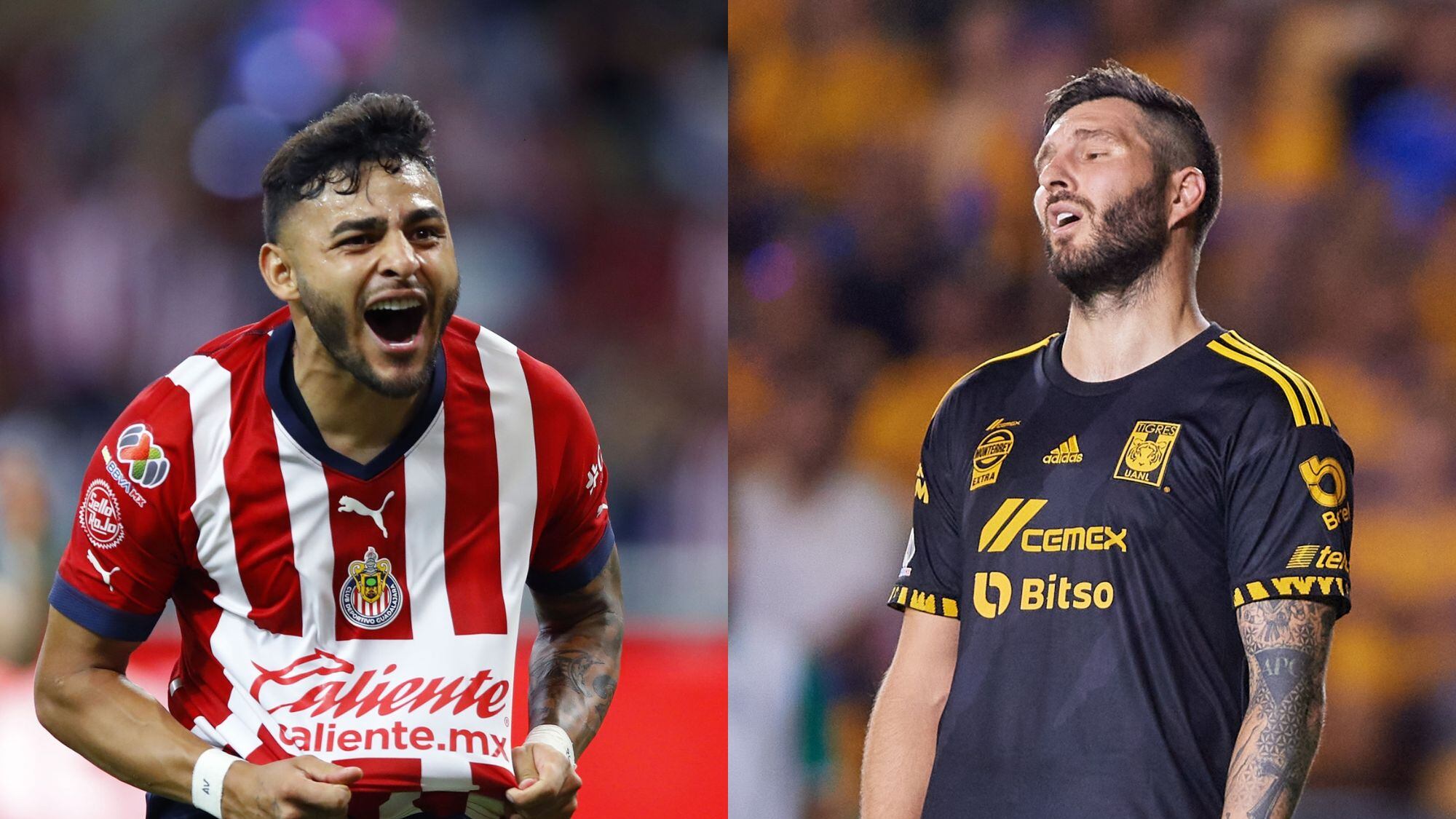 Tigres enfrentará a Chivas en su mejor momento