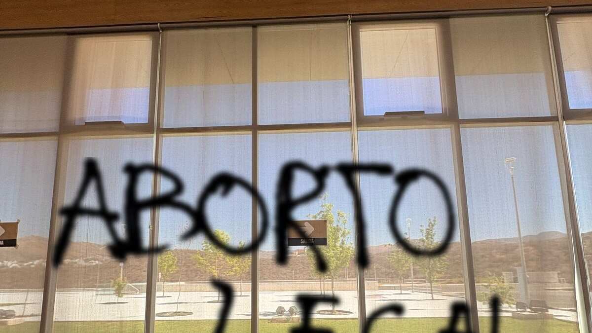 Diputadas del Congreso acordaron analizar la propuesta sobre aborto legal el 14 de mayo.