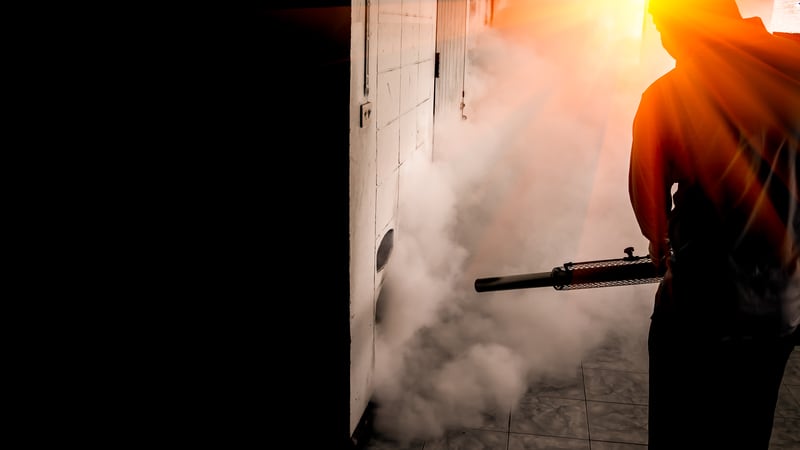 fumigación tras amenaza de plaga