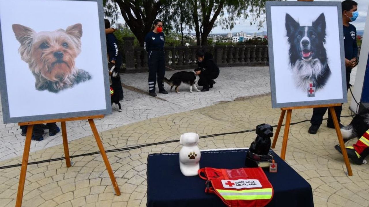 Protestan por justicia para Athos y Tango