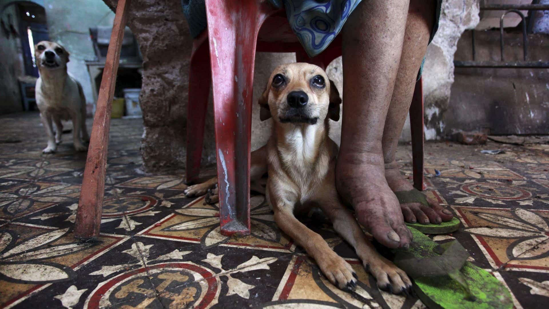 En el protocolo de actuación participará la FGJ de la CDMX.