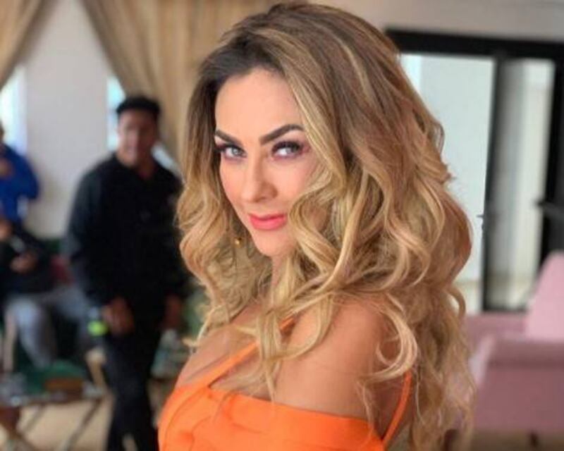 Aracely Arámbula