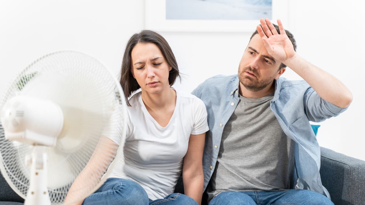 El presupuesto, la contaminación y el tamaño de tu hogar son aspectos a tomar en cuenta para escoger la opción ideal.