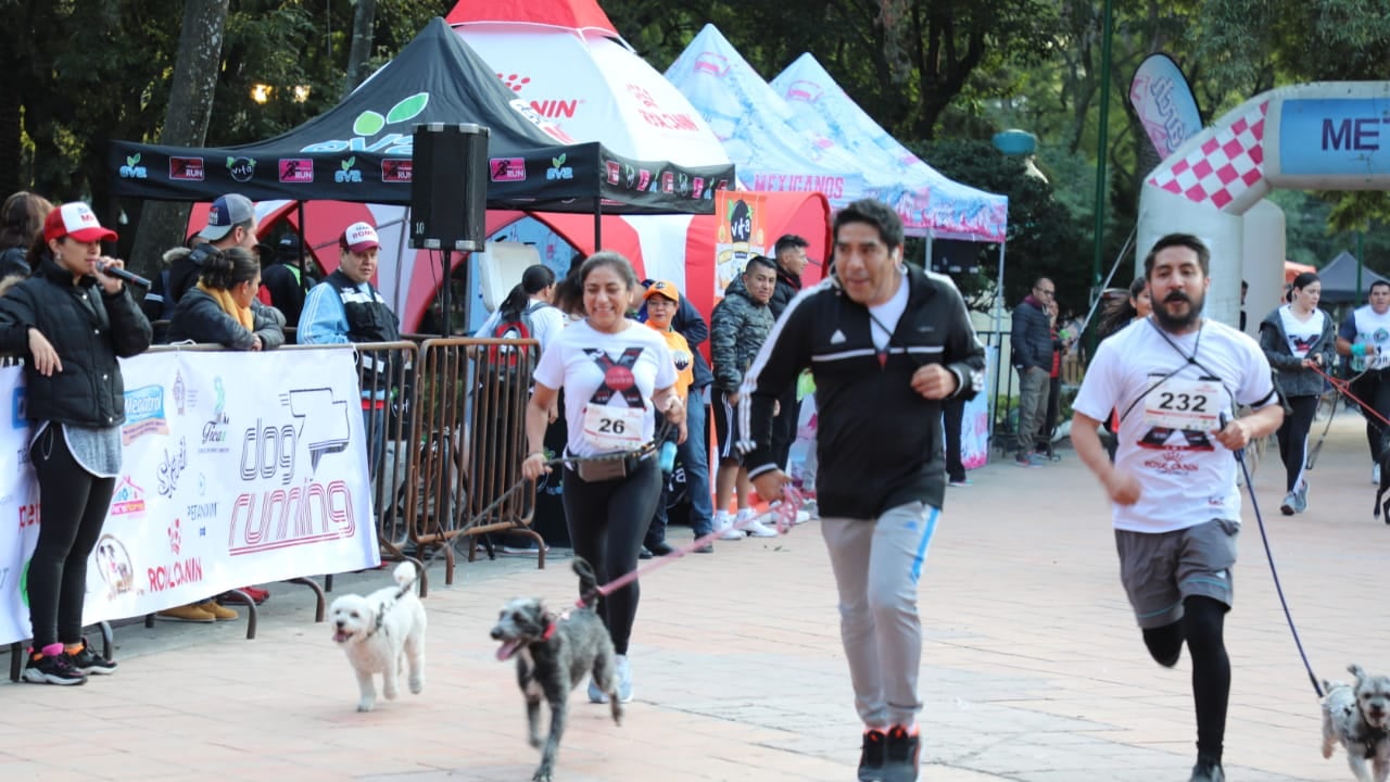 Dog Running 2024 CDMX