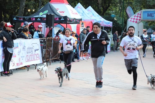Dog Running CDMX 2024: Corre por una causa perruna 