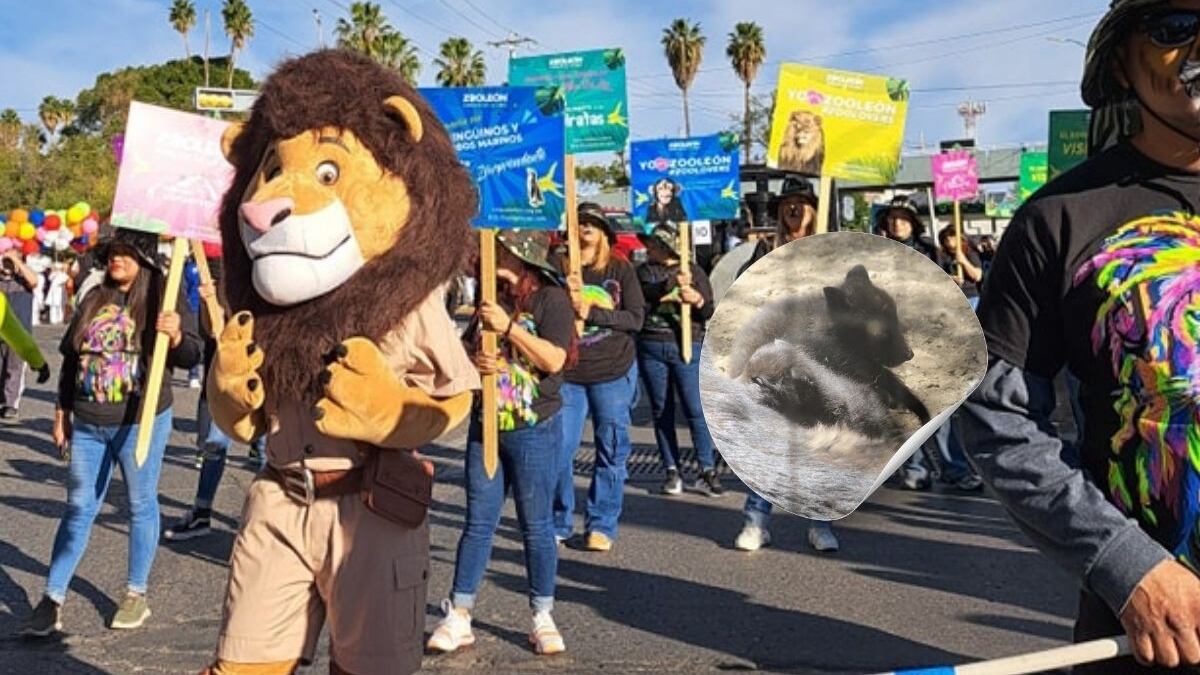 Creará un área de educación para la preservación de especies.