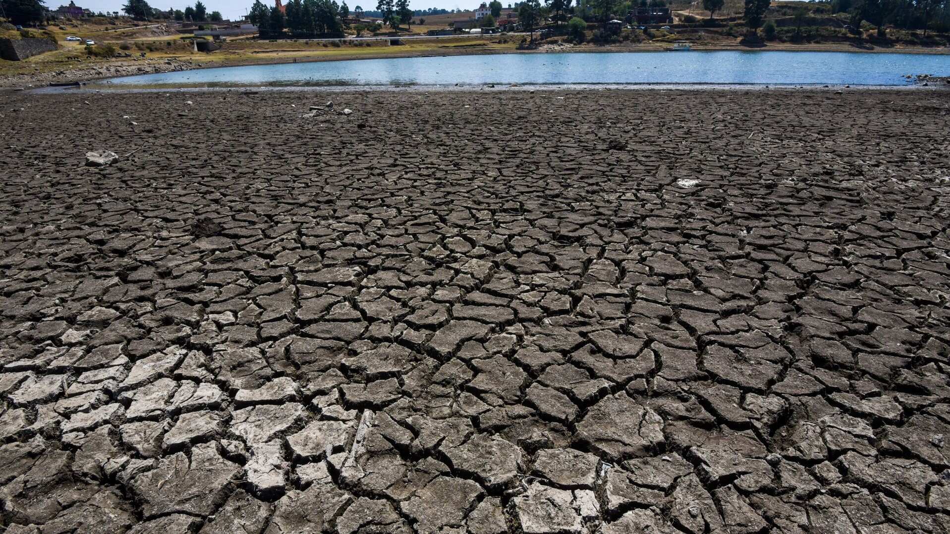 Las presas del Sistema Cutzamala están en sus niveles más bajos históricamente.