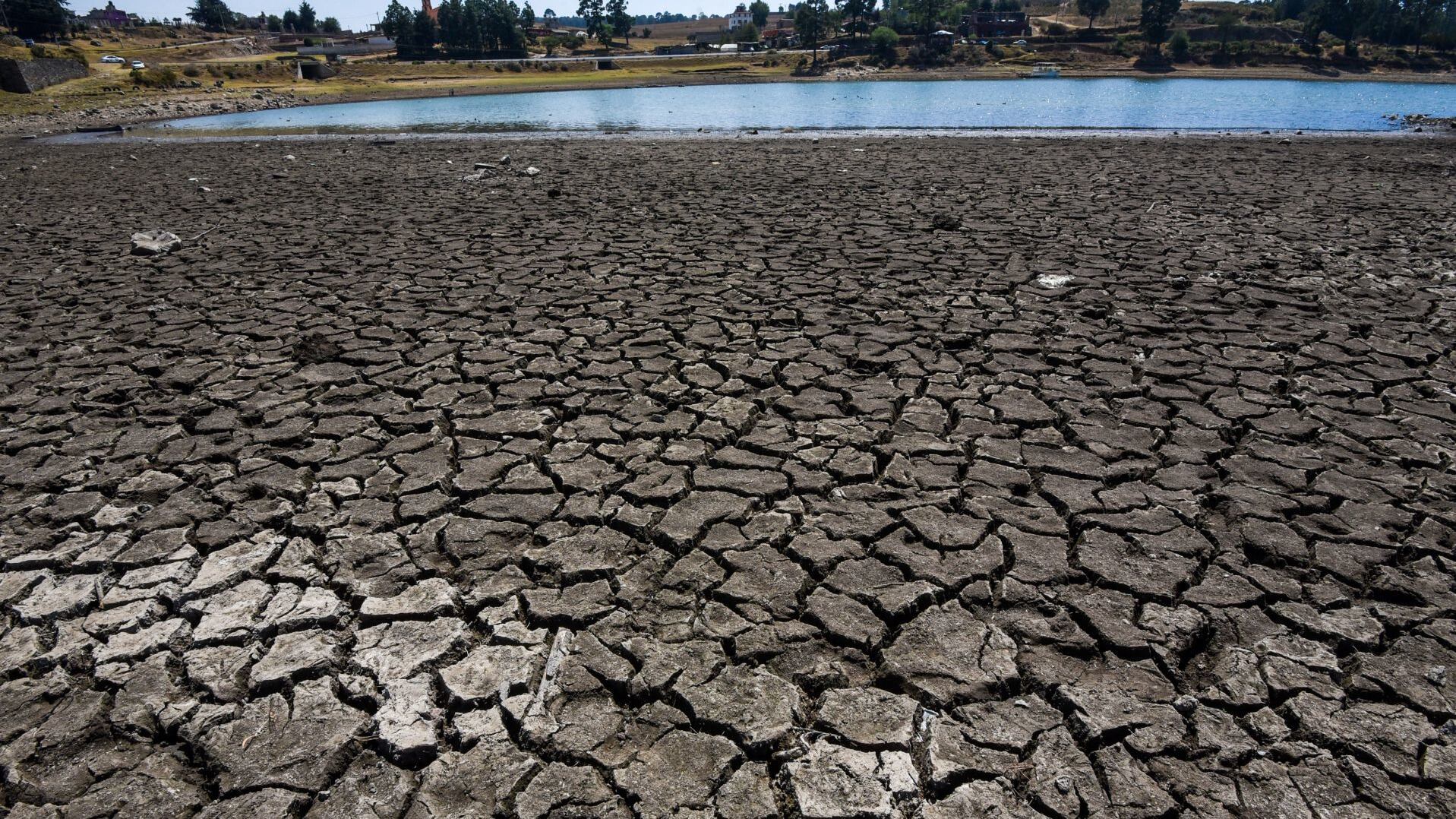 Las presas del Sistema Cutzamala están en sus niveles más bajos históricamente.