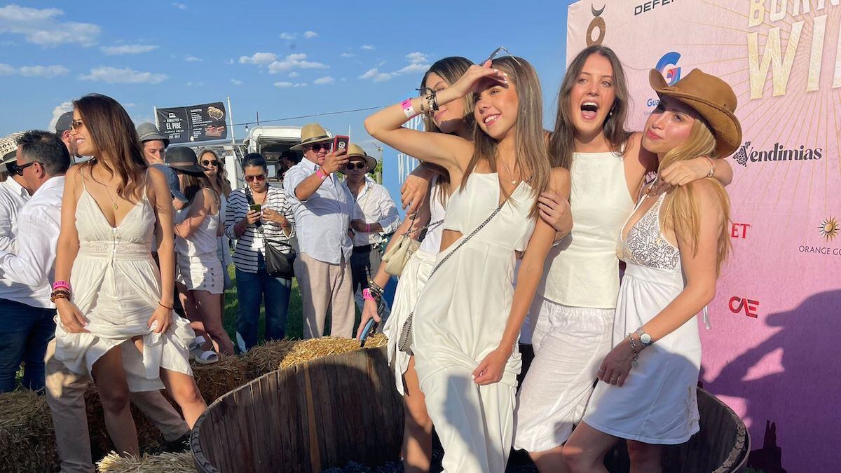 En su octava edición, Born to be wine, se está convirtiendo en un referente donde las nuevas generaciones aprenden y degustan del vino a través de talleres, catas, gastronomía y música electrónica.