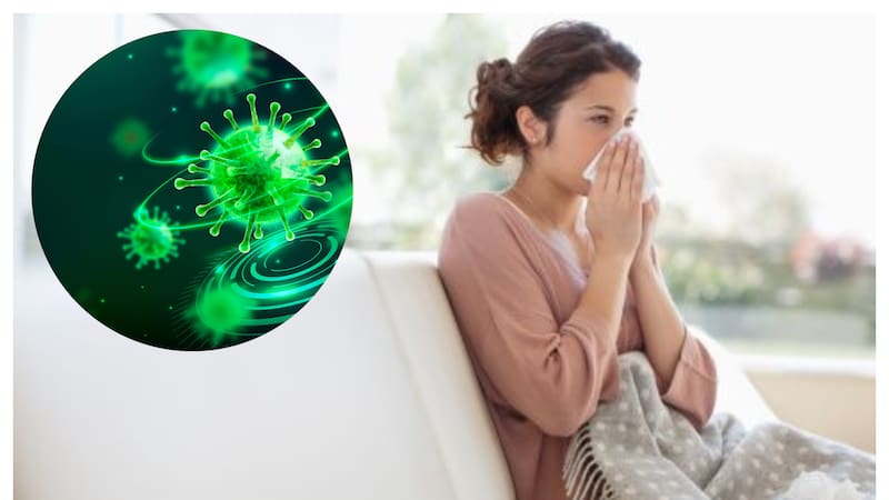 Virus Metapneumovirus Humano