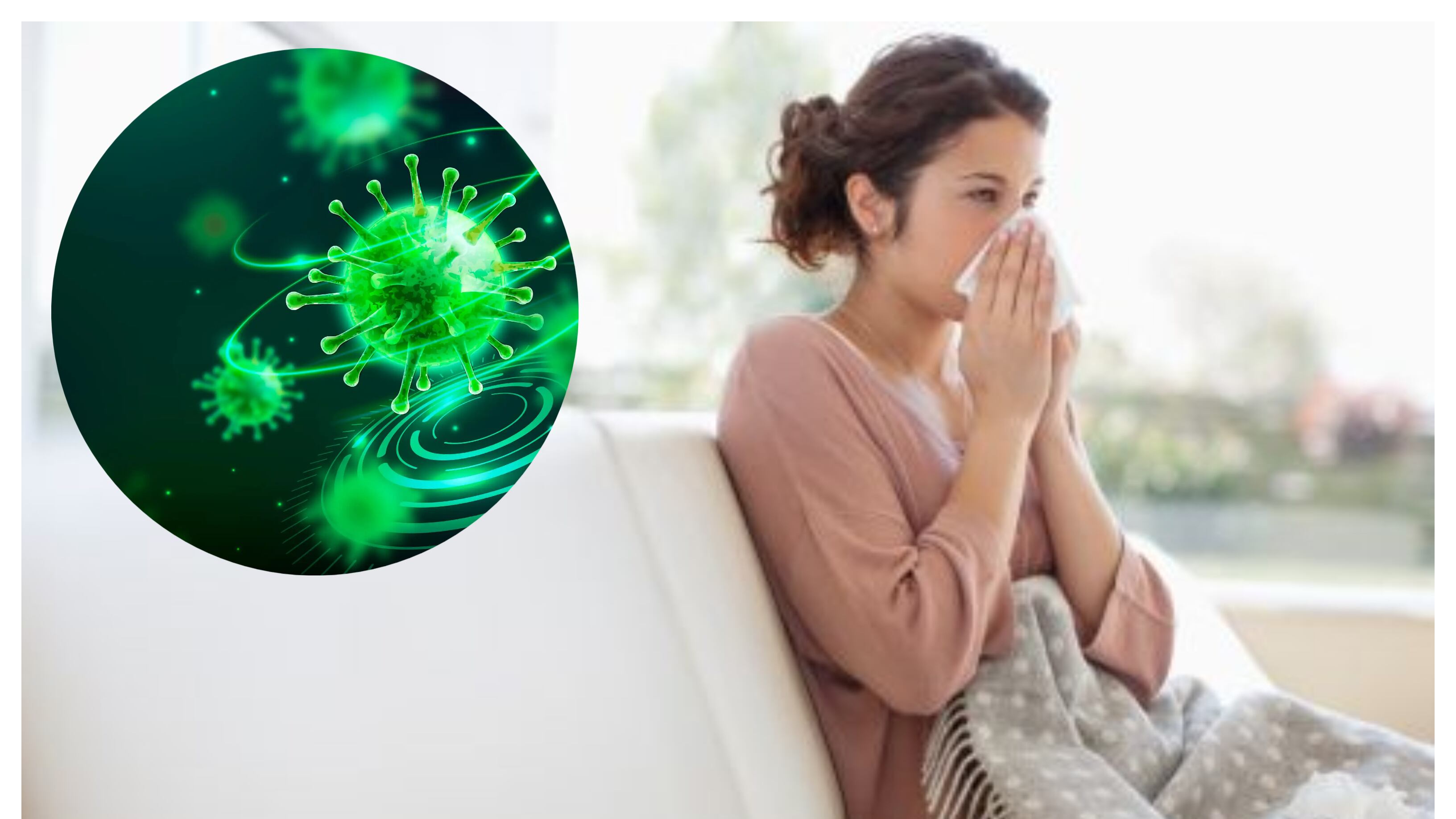 Virus Metapneumovirus Humano