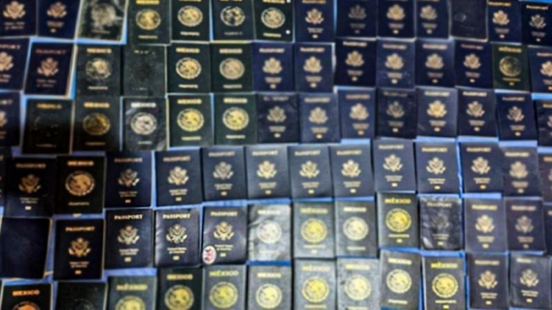 pasaportes falsos