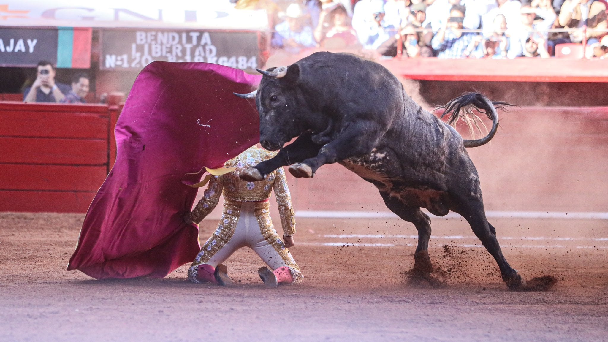 Las corridas de toros continuarán llevándose a cabo con normalidad en la Plaza México.