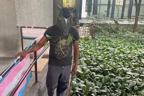 Ley Therian, ¿qué y a quién busca proteger?