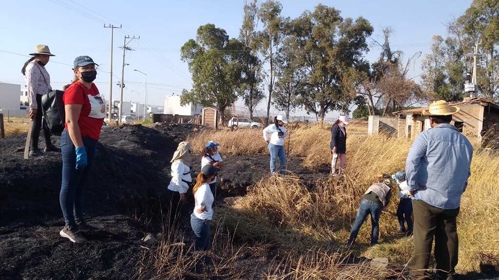 Hasta el momento en las fincas visitadas por las Buscadoras se habrían encontrado 52 bolsas con restos humanos.
