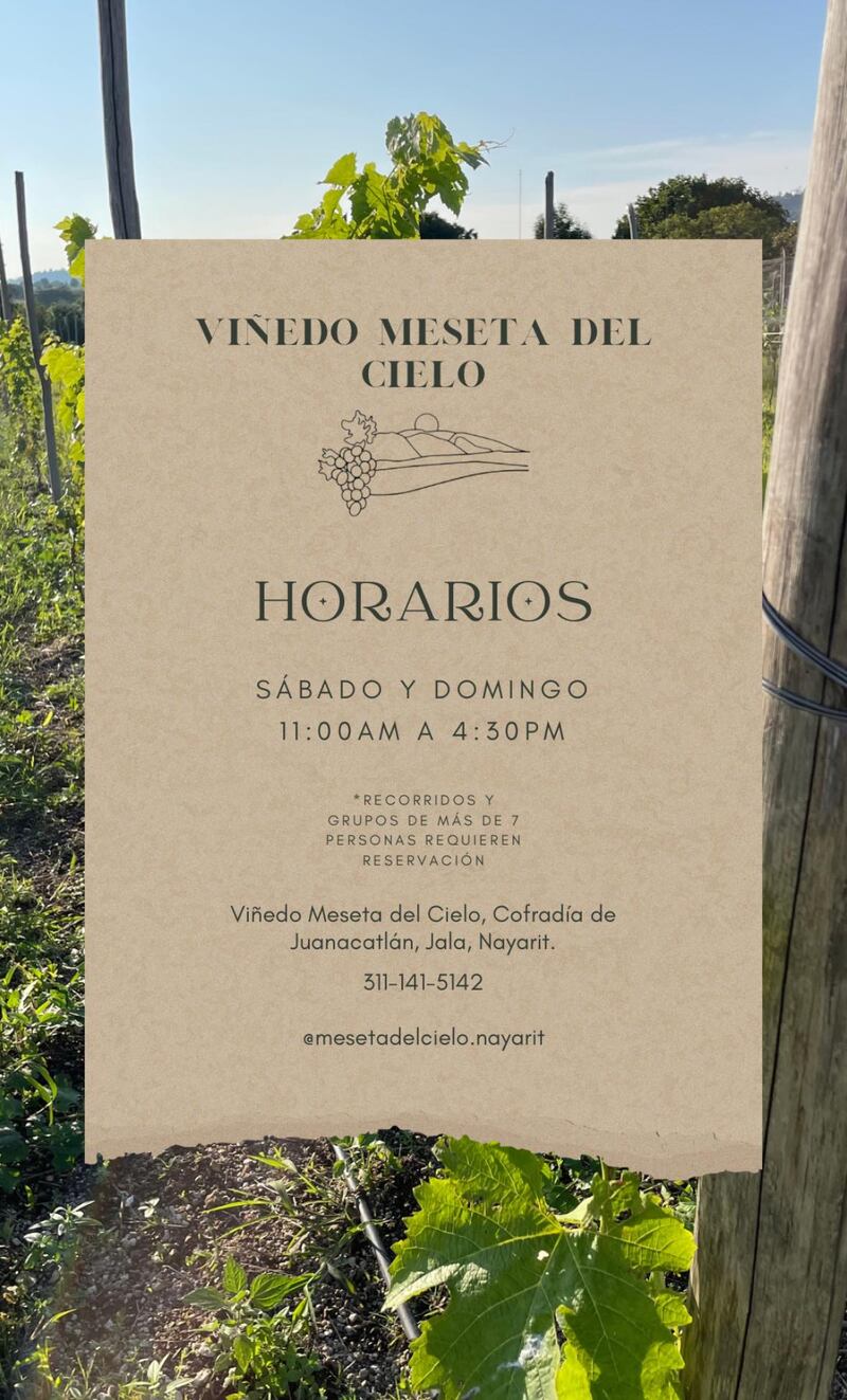 Vinos Meseta del Cielo