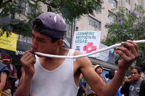 CDMX implementa nuevos puntos seguros para fumar mariguana ¿dónde se encuentran?
