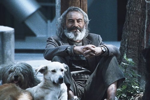 Conoce todas las actividades por los 25 años de Amores perros en México