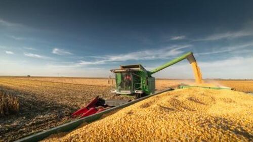 Producción de alimentos