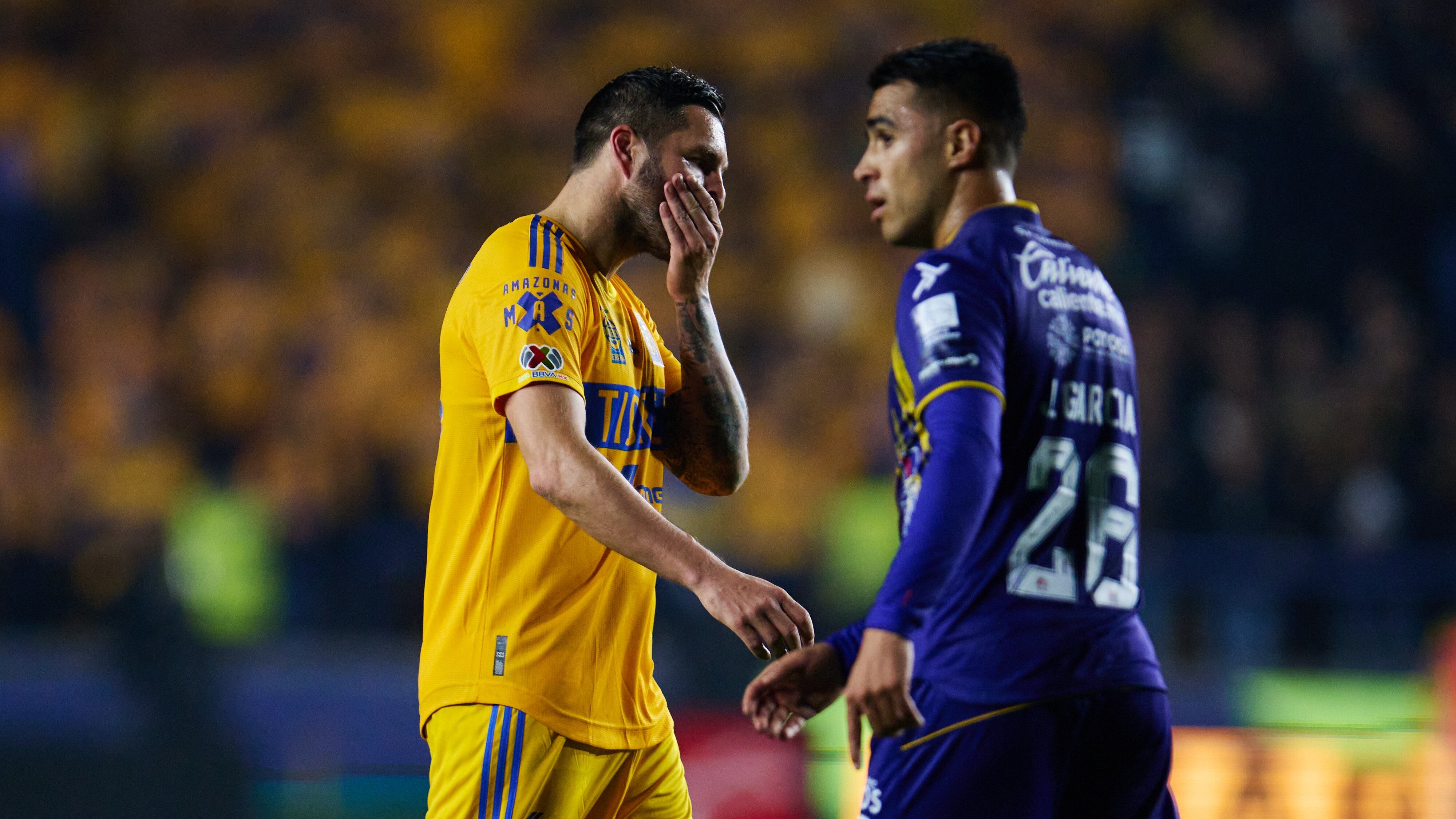 Los felinos no pudieron llevarse el triunfo en casa