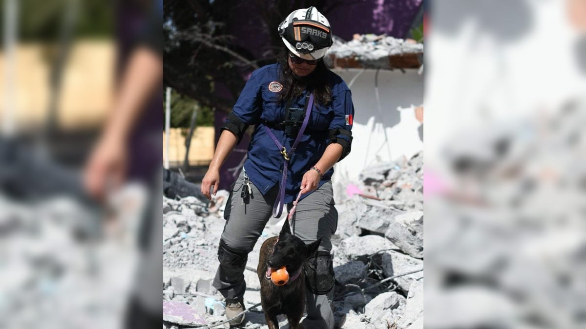 La instrucción incluye localización de restos humanos y rescate.