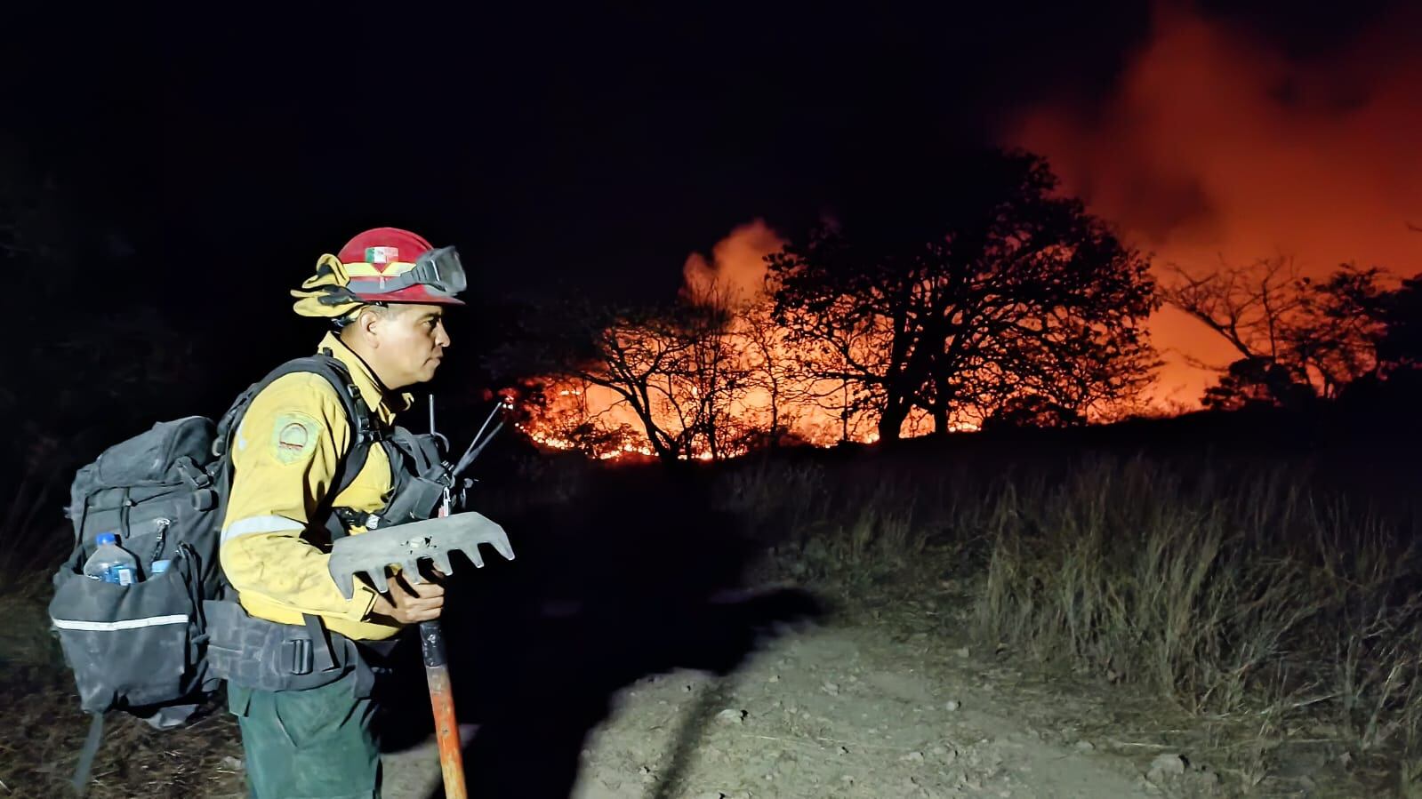 Los brigadistas han trabajado sin descanso para sofocar las llamas.