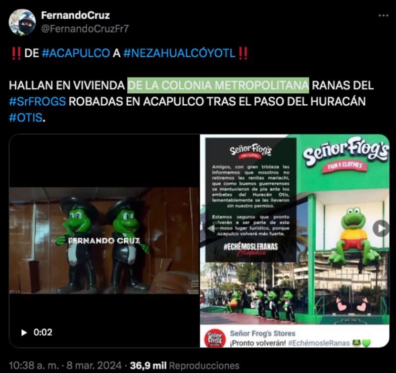 ranas-señor-frogs-localizadas-tras-ser-robadas-acapulco-huracán-otis