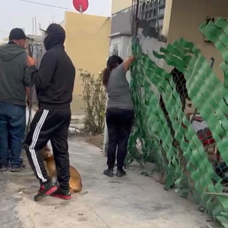 El personal del Centro de Control Canino y Felino ingresó de forma ilegal al domicilio para llevarse a los perritos.