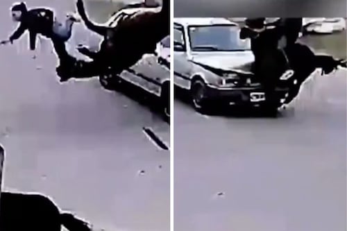 Video: Robó caballo, chocó con un auto y voló con animal y todo