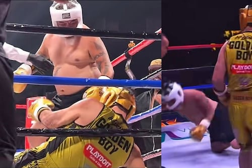 Sale a la luz la fortuna que ganaron Alfredo Adame y Carlos Trejo por enfrentarse en Ring Royale
