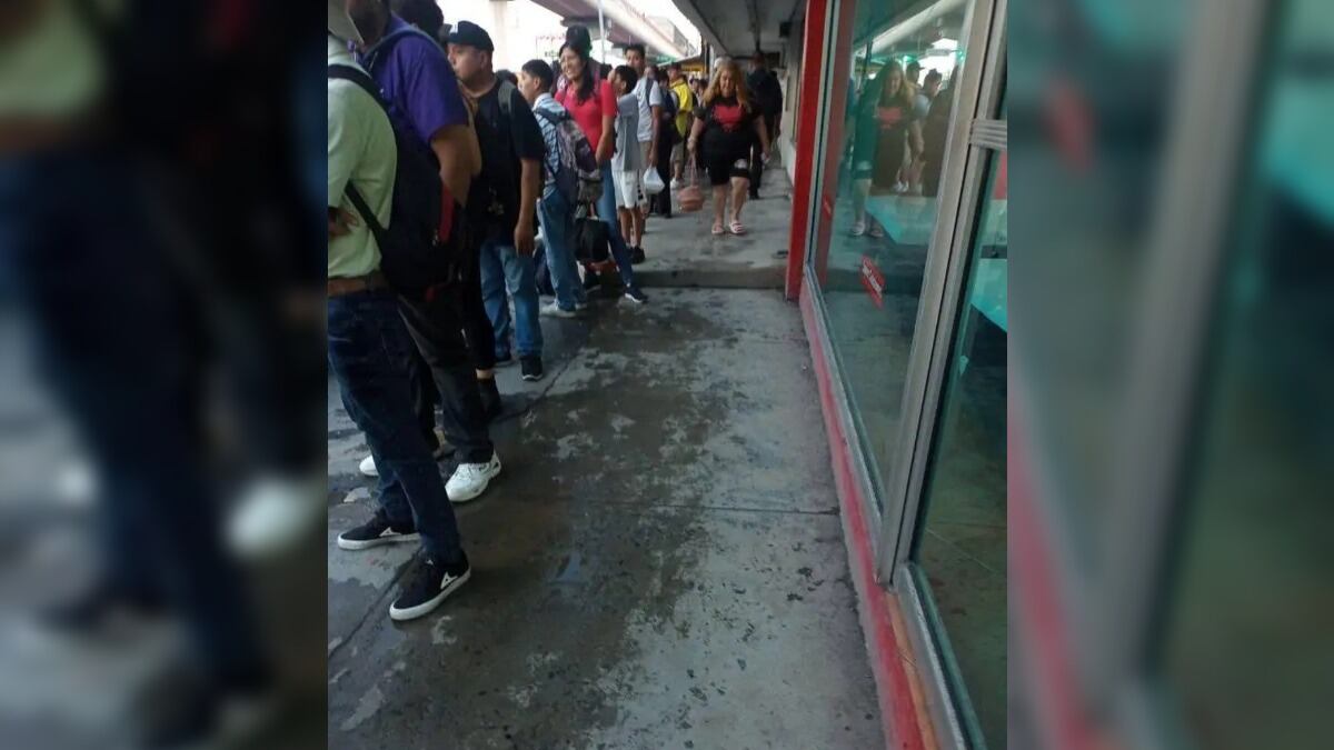 Diariamente las filas para poder acceder a un transporte urbano son bastante largos.