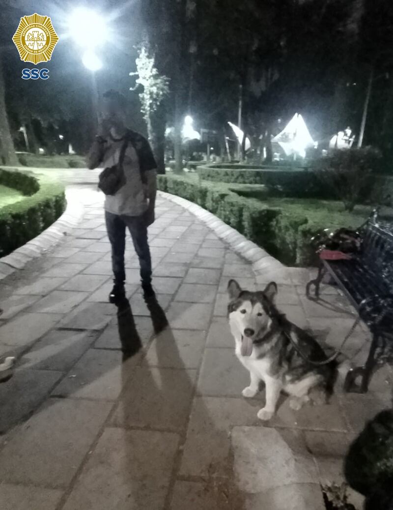 Perrito.