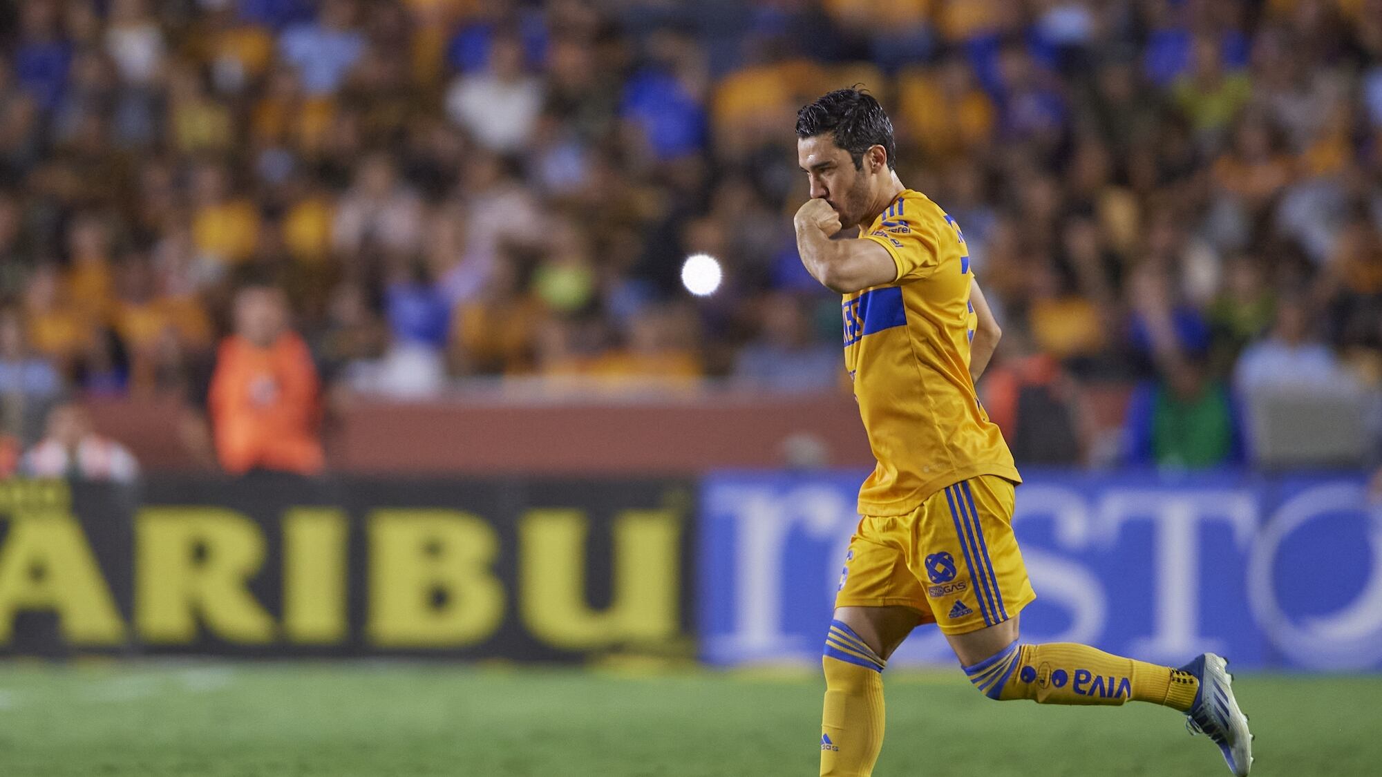 Tigres, Juan Pablo Vigón