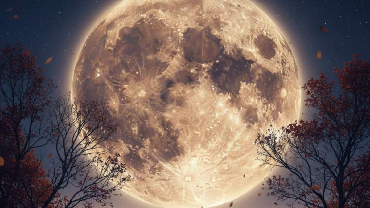 Superluna de octubre 2025: fecha, hora exacta y cómo verla desde México