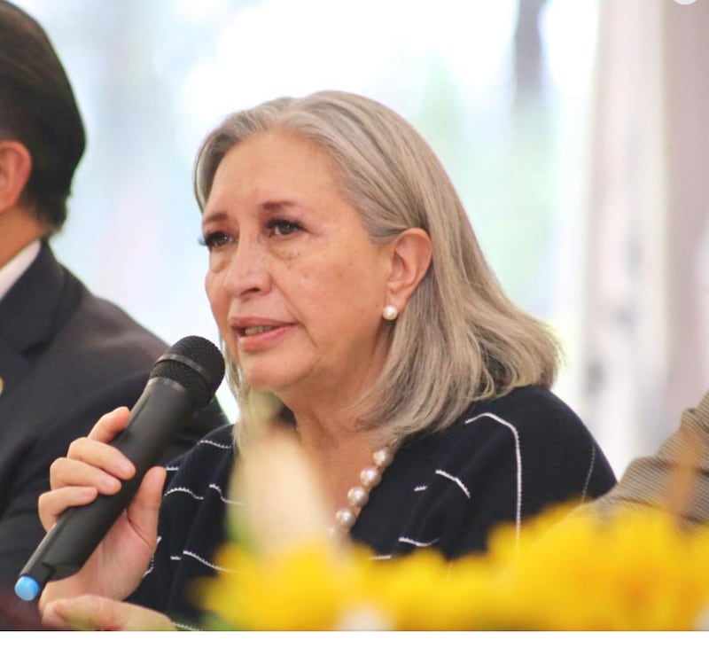 María de Lourdes Medina Ortega
