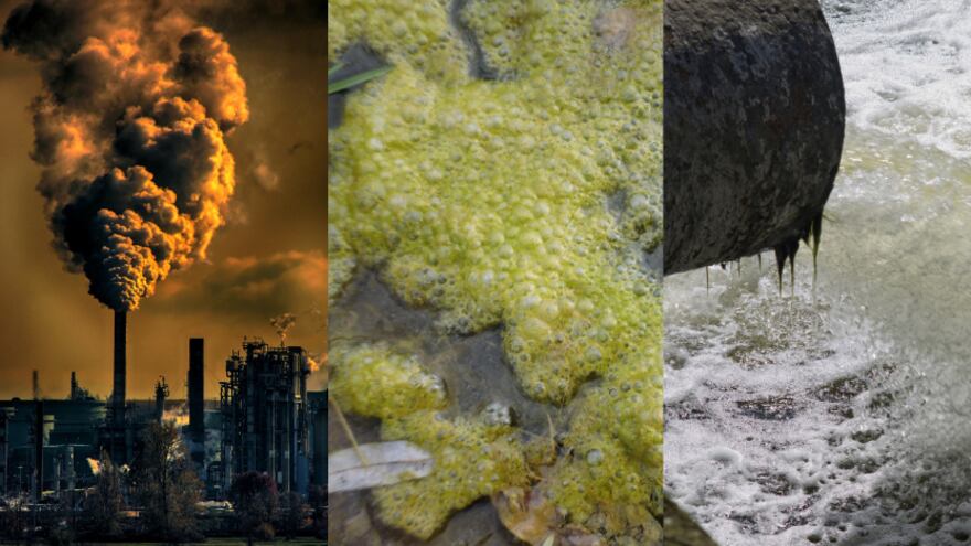 39 empresas clausuradas por incumplimientos ambientales.