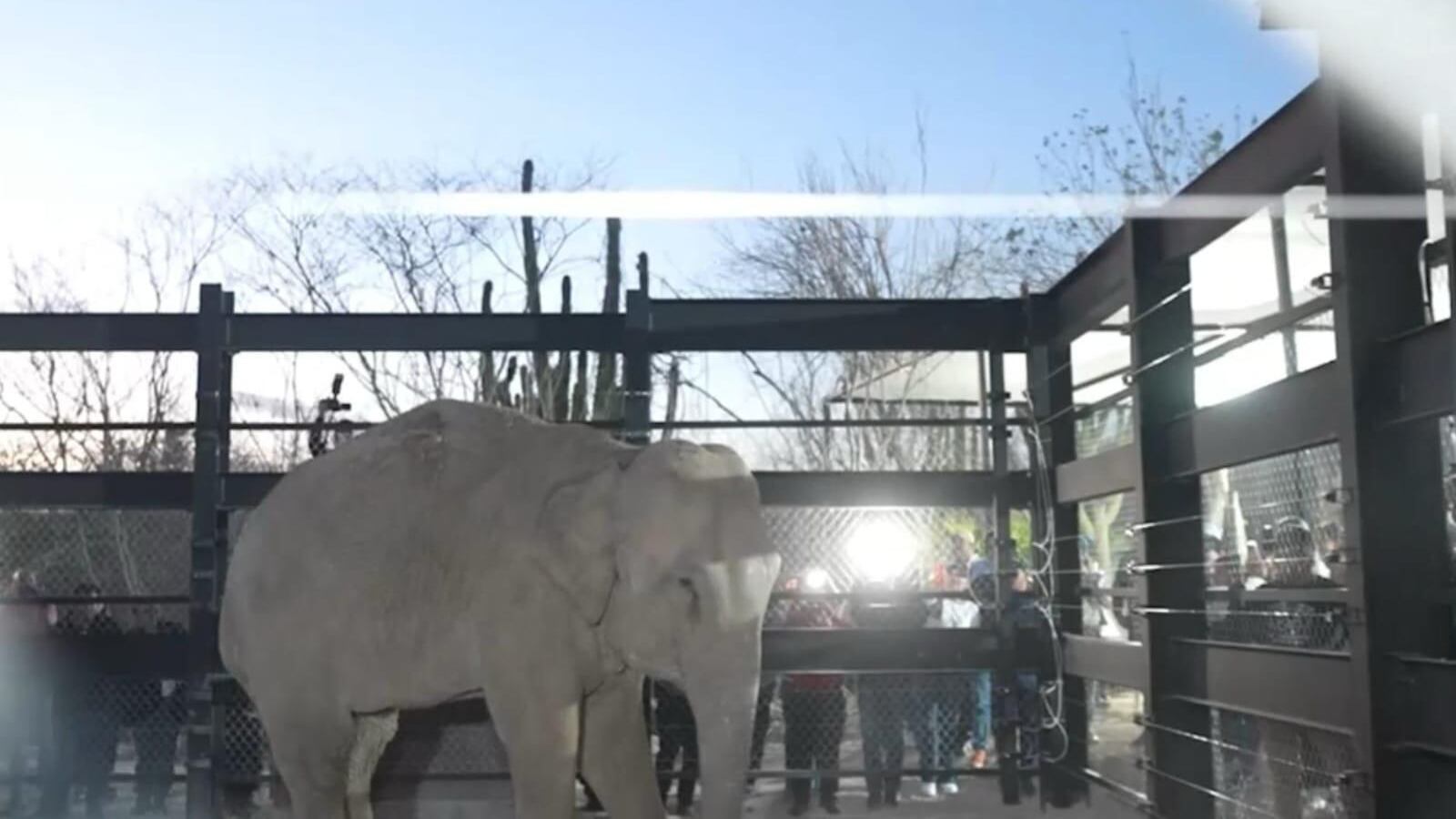 Bioparc Mazatlán, se proyecta como el santuario de vida silvestre más importante de Latinoamérica