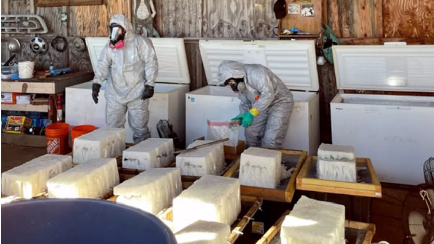 La red fue identificada tras meses de investigación iniciada en 2025 por autoridades federales y locales en el condado de Calaveras