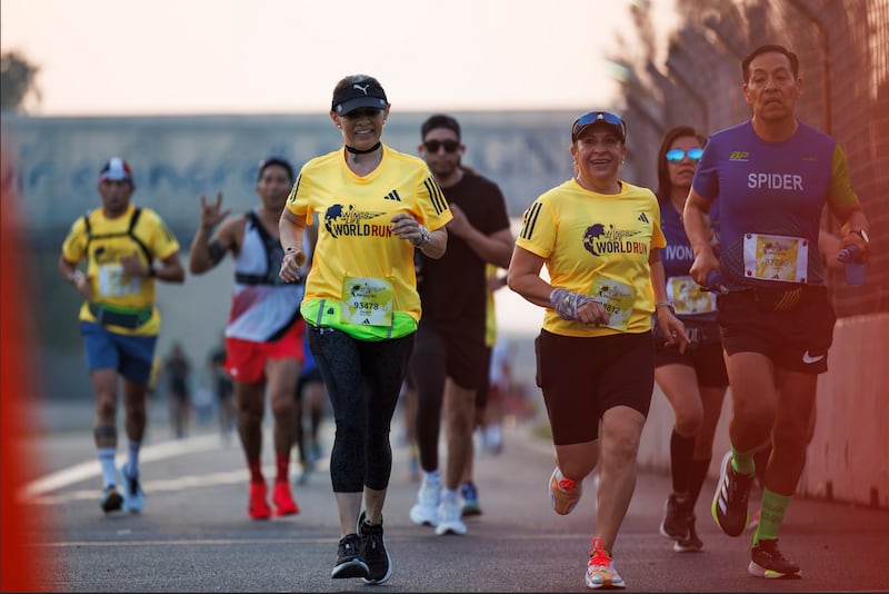 Wings for Life World Run 2026