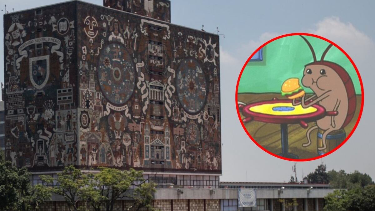 UNAM-plaga-de-chinches