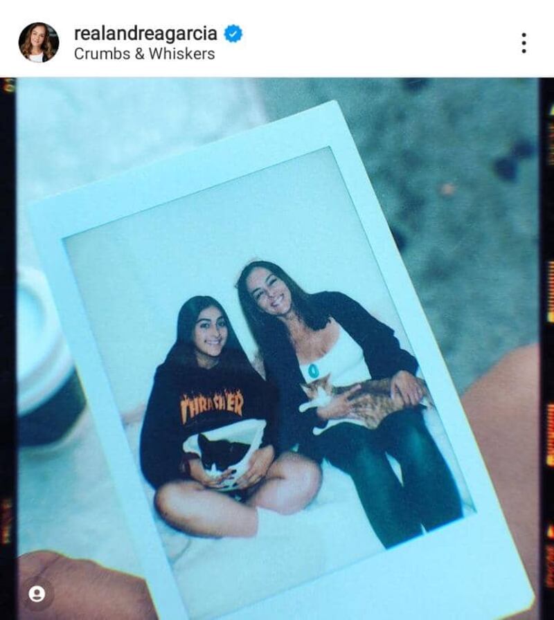 Andrés García y su complicada relación con su hija Andrea, madre de una nieta que no conoce