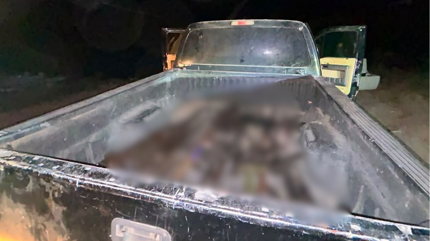 Entre lo asegurado se encuentran fusiles, ametralladoras, armas largas y lanzagranadas